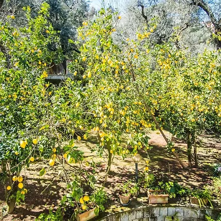 Mediterranean House *