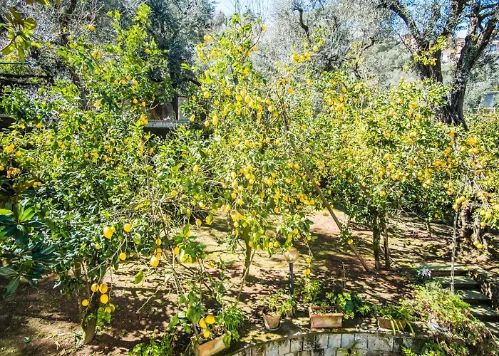 Mediterranean House *