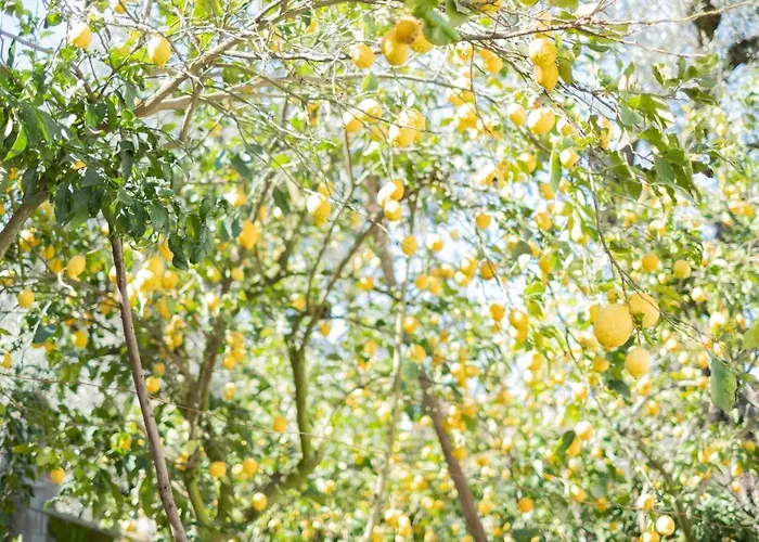 Mediterranean House سورينتو